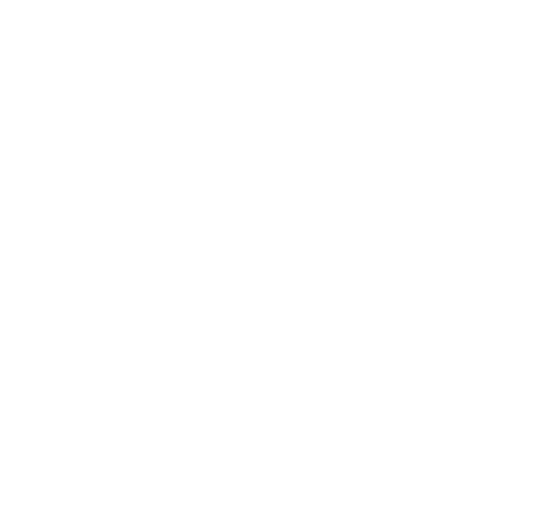 Zen Zone Digital white logo