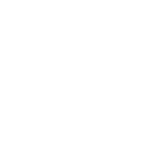 Zen Zone Digital white logo